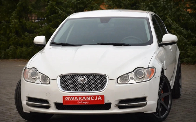 Jaguar XF cena 49900 przebieg: 219000, rok produkcji 2011 z Piwniczna-Zdrój małe 781